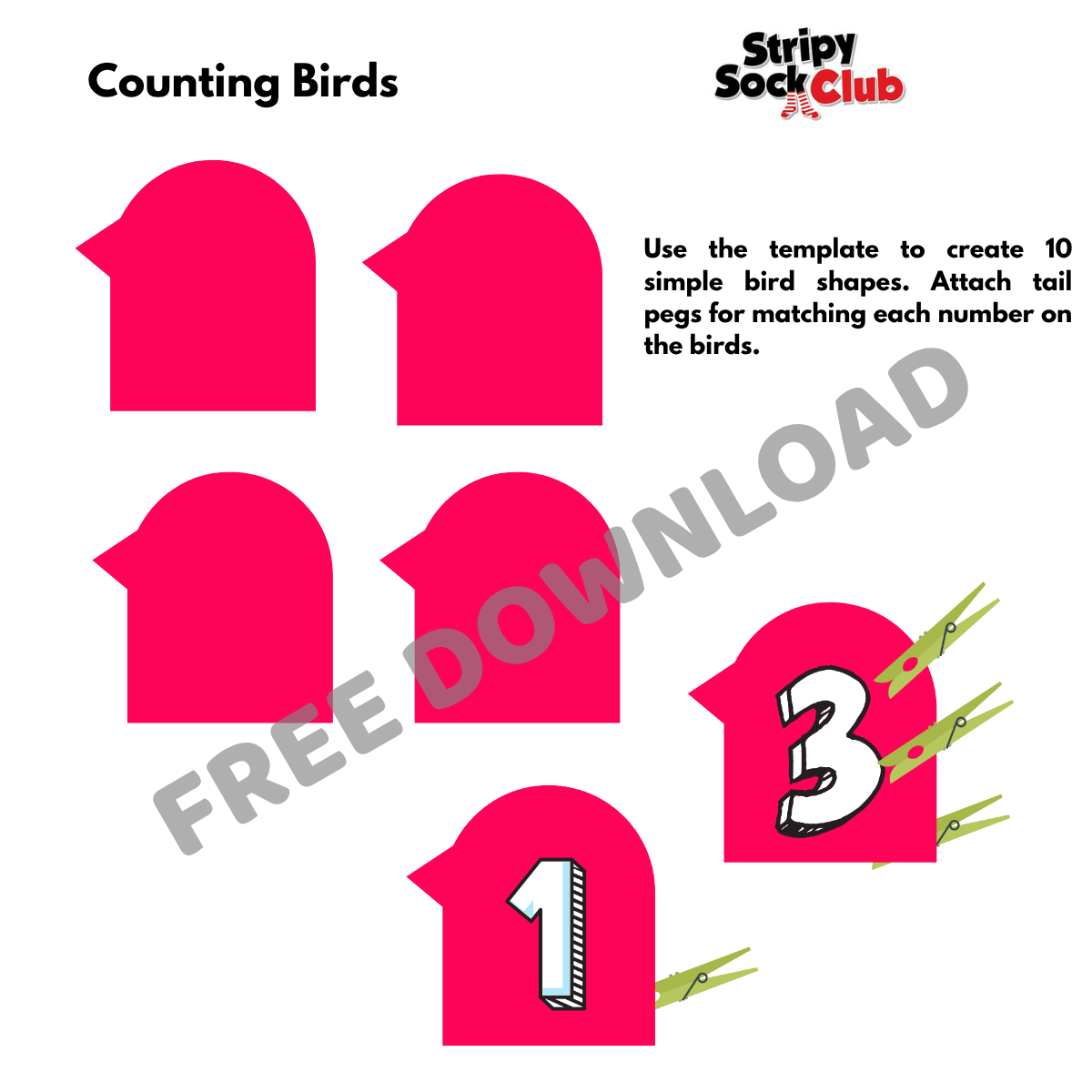 10 Birds Matching Activity - Free Digital Download